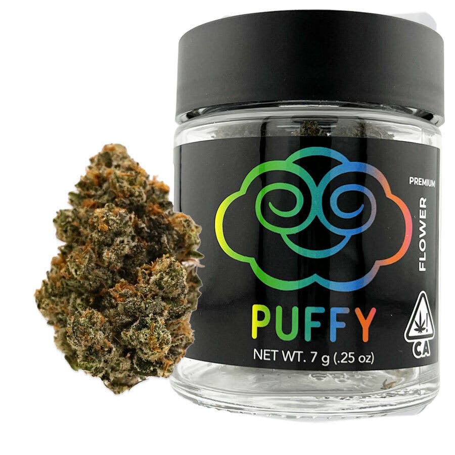 Juicy Jack: Juicy Jack 7G Premium Indoor Flower