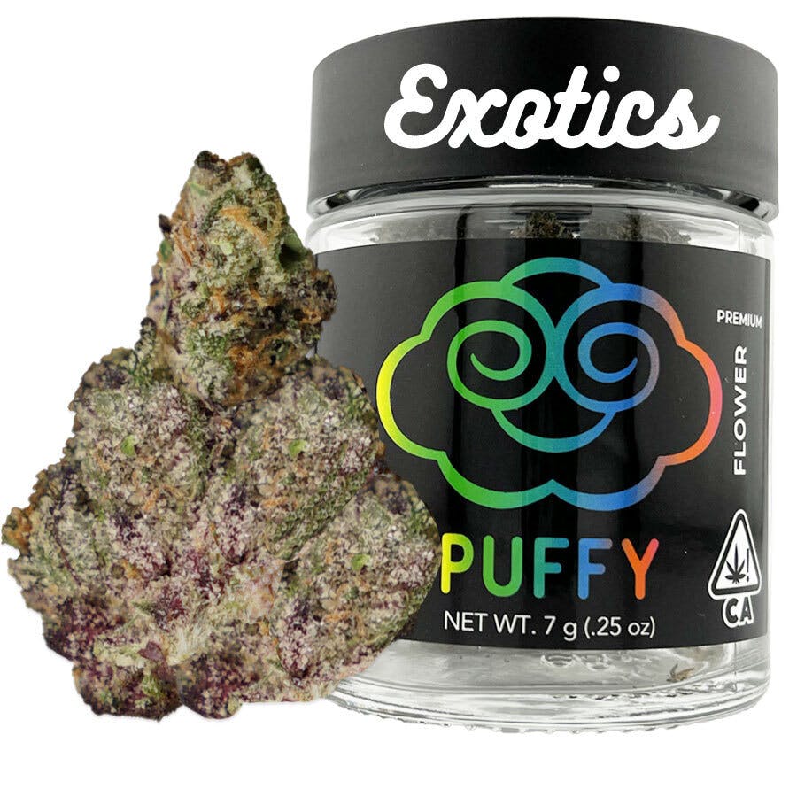 Exotics Jamaican Gelato — Exotics Jamaican Gelato 7G Premium Indoor Flower