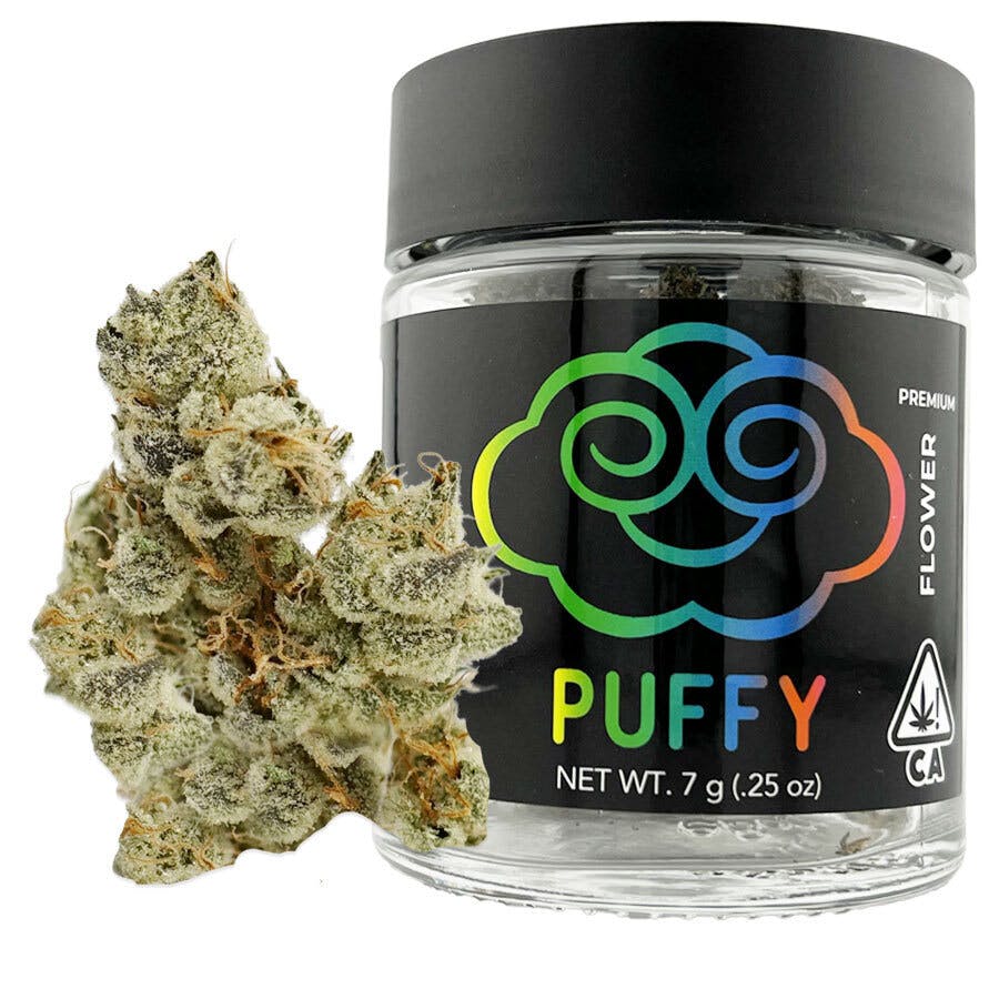 Blue Taffy — Blue Taffy 7G Premium Indoor Flower
