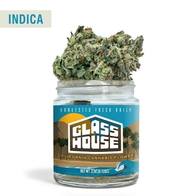 BLACK GARLIC GELATO: Black Garlic Gelato 3.5g Flower