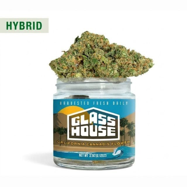 BIZCOTTI CREAM -: Bizcotti Cream 3.5g Flower