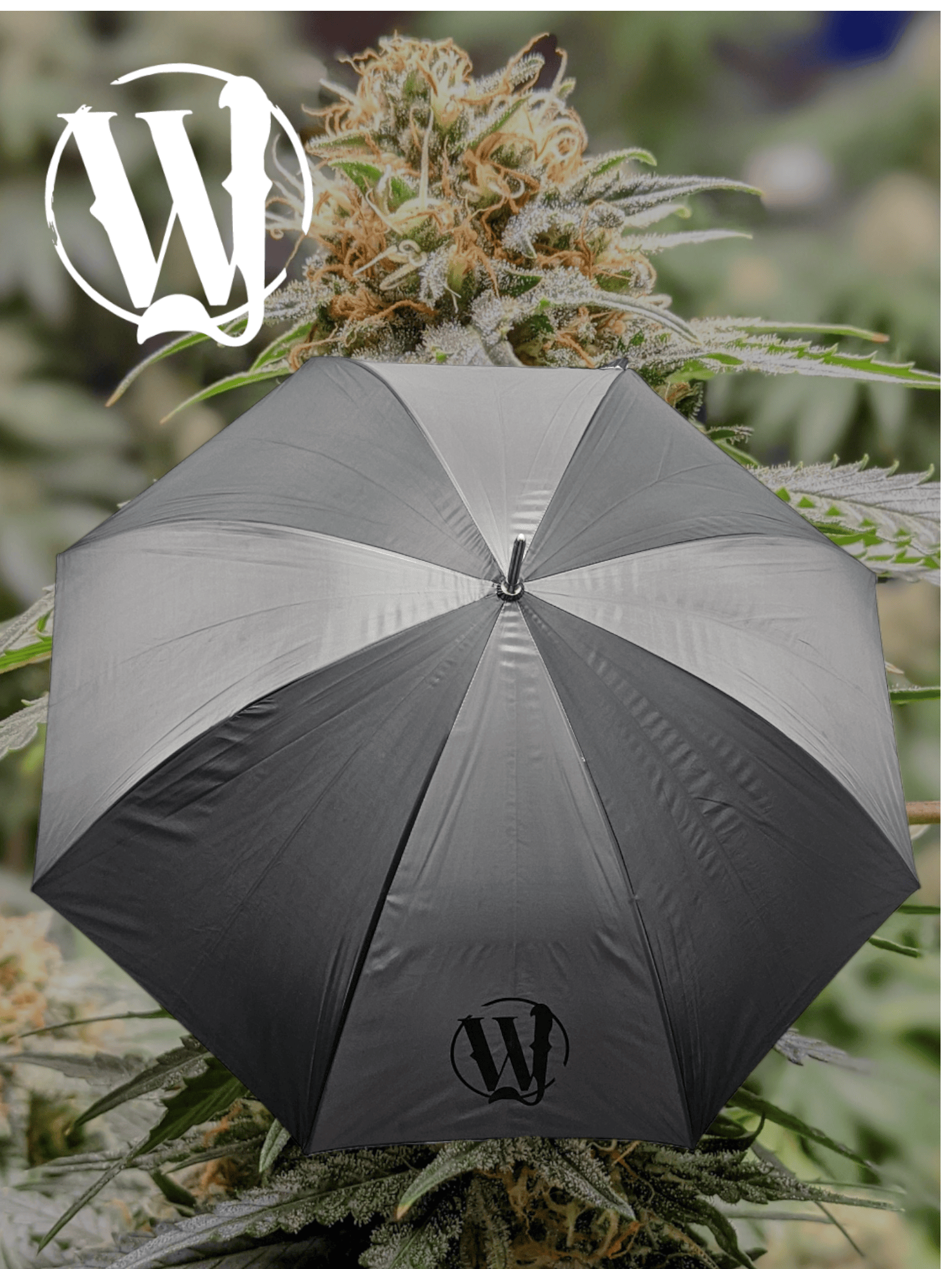 William Jane - Black Umbrella - M