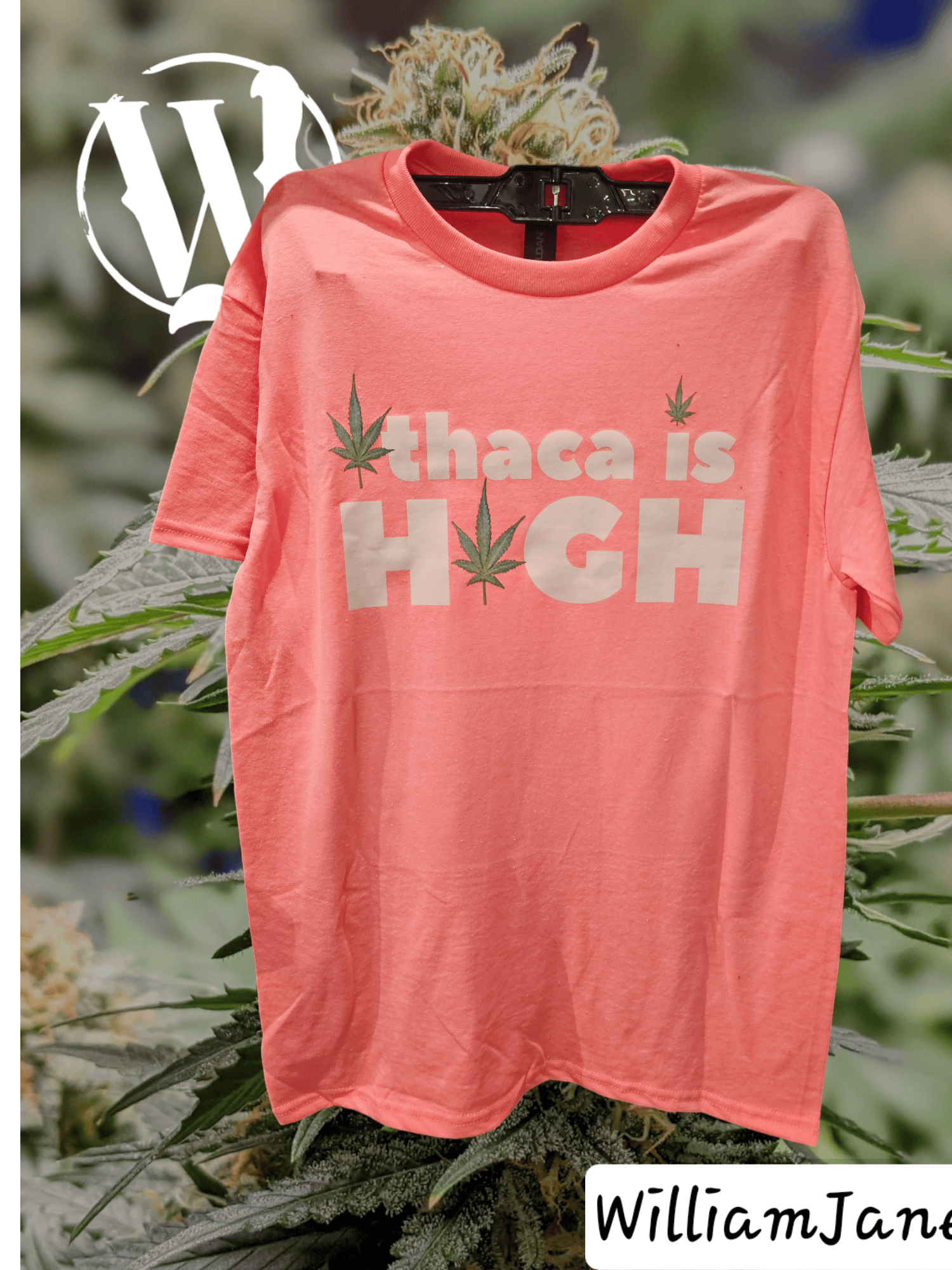 Willliam Jane - Ithaca Is High - TShirt - All Size All Colors