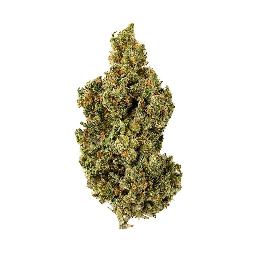 Jack Herer
