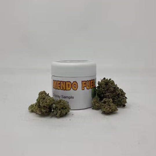 Eighth Brother: Mendo Fuel