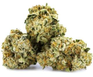 (HTG) Animal Face 3.5g (REC)