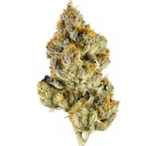 (HTG) Lemon Cherry Gelato 1g (REC)