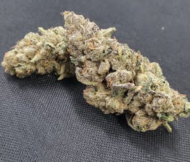 1337 OG (H)