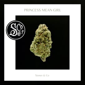 Princess Mean Girl