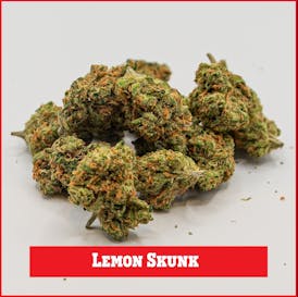 A2Z | Lemon Skunk