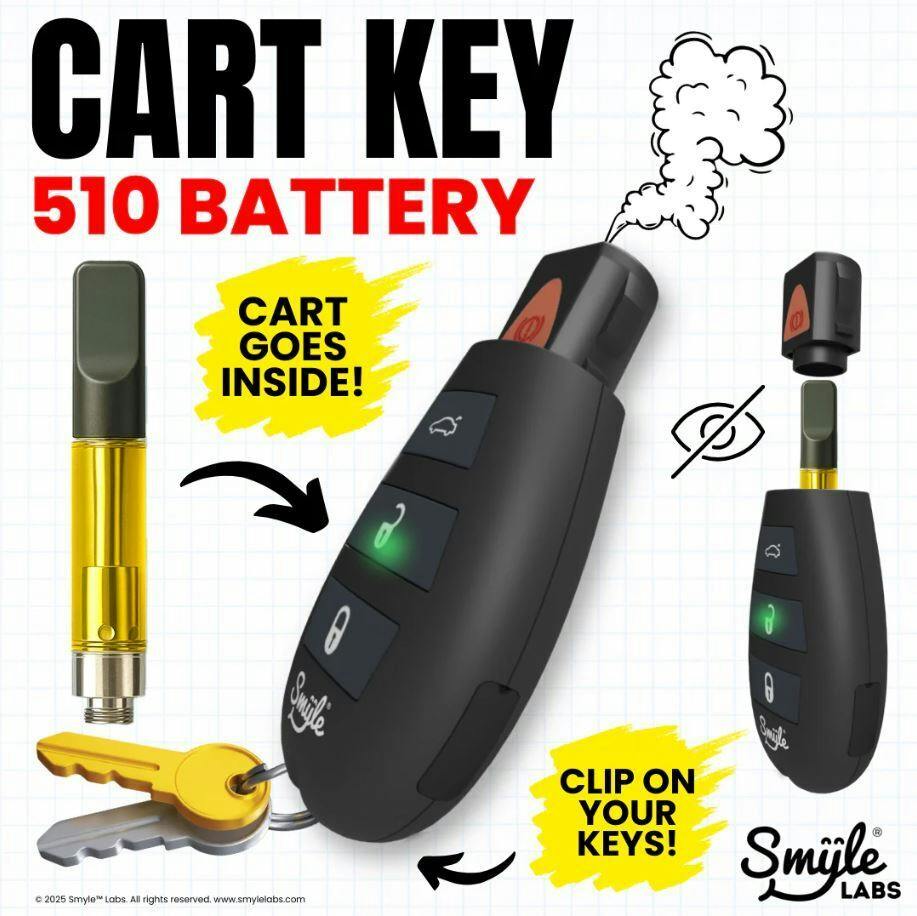 REC - Car Key Penjamin 510 Battery