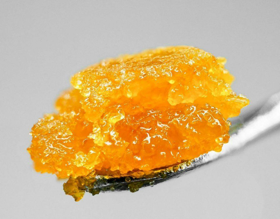 MED - NuHi Wax Bucket - Apple Cake (4g)