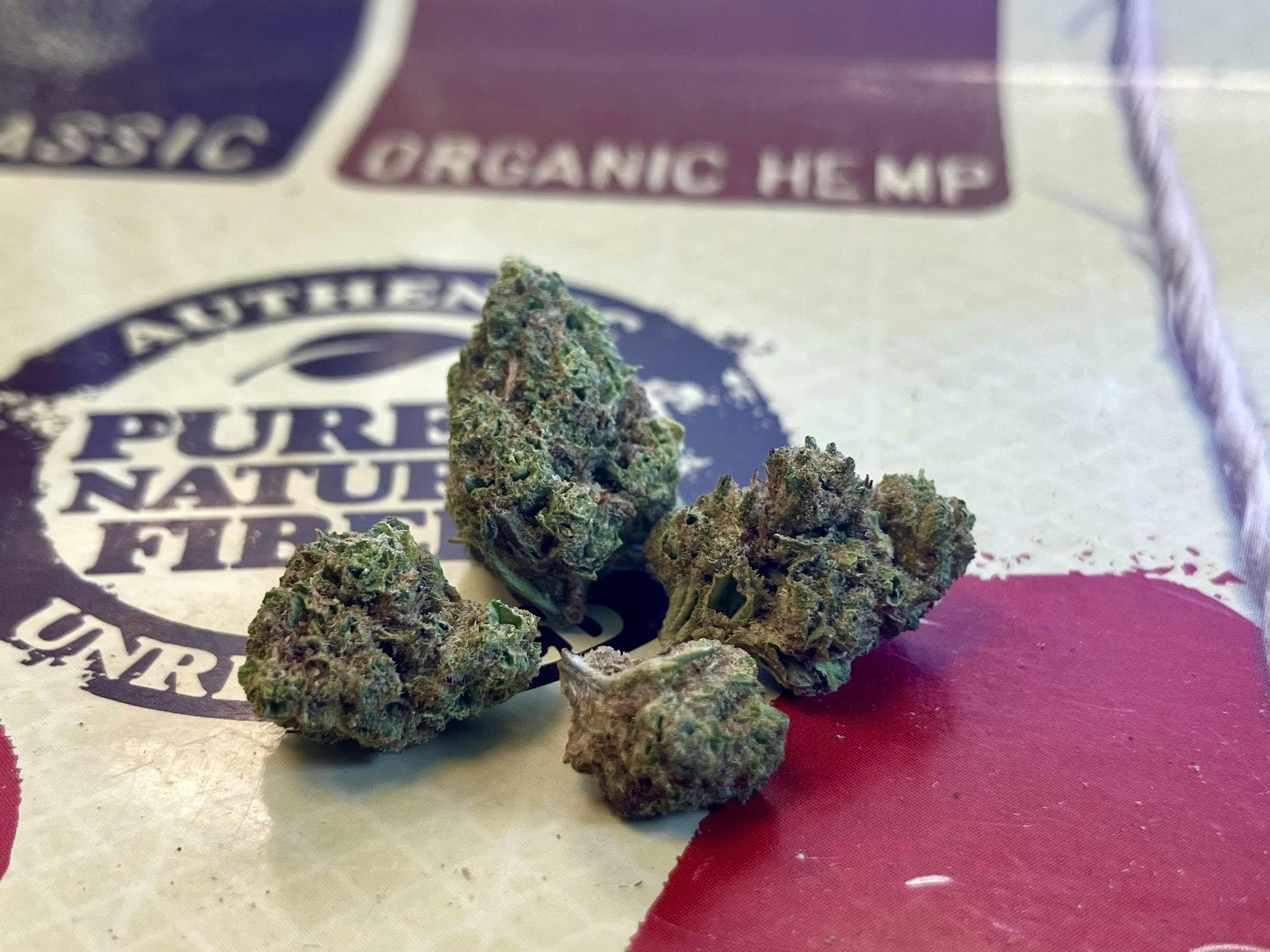 REC - CS - Sherbet x Creamsicle