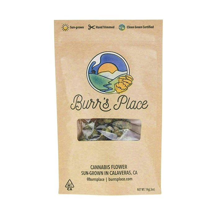 Burr's Place: Carbon Fiber