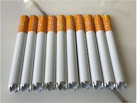 Backwoods Dugout Replacement Cig- Asstd