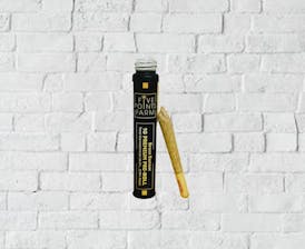 Five Points Farms | Wedding Cake Preroll - 1 g