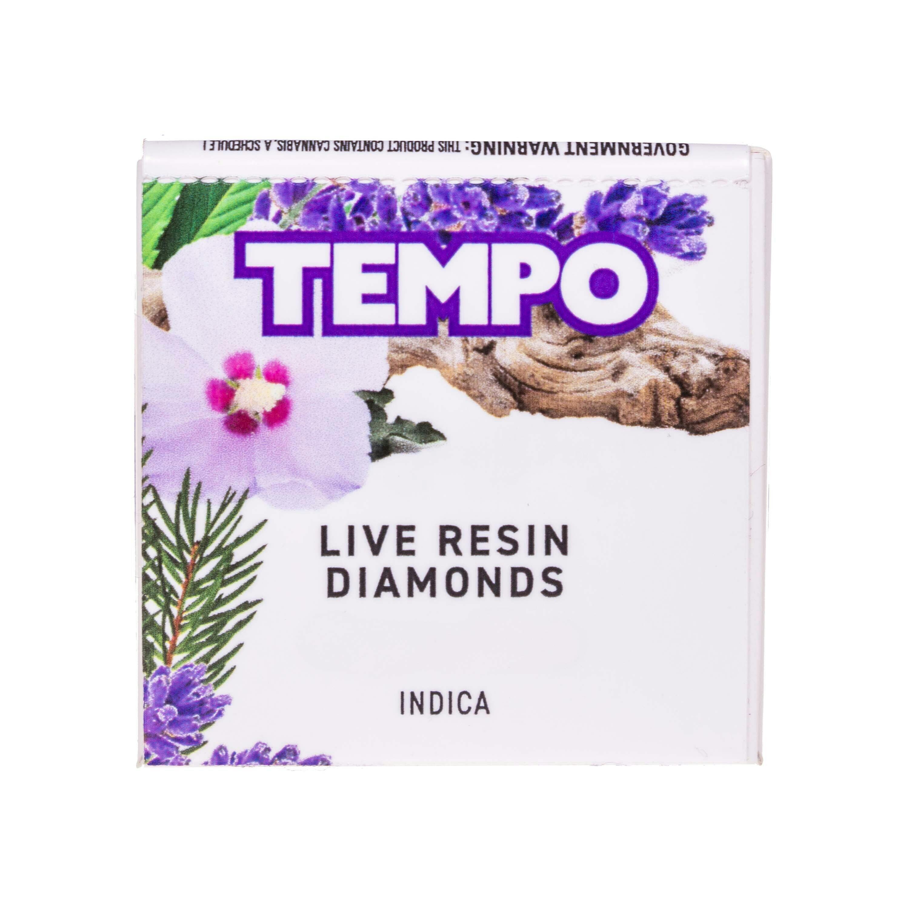 TEMPO — Permanent Marker