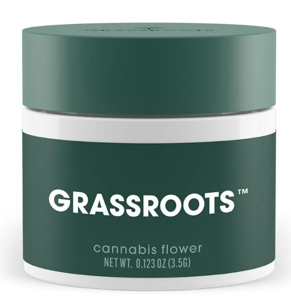 CHEDDAR CHEESE | 3.5G