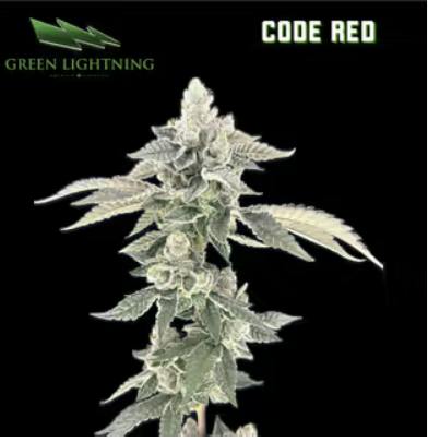 CODE RED | 3.5G