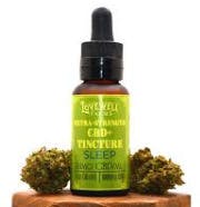 Dose Theory Catalyst Mixed Berry Syrup 250mg