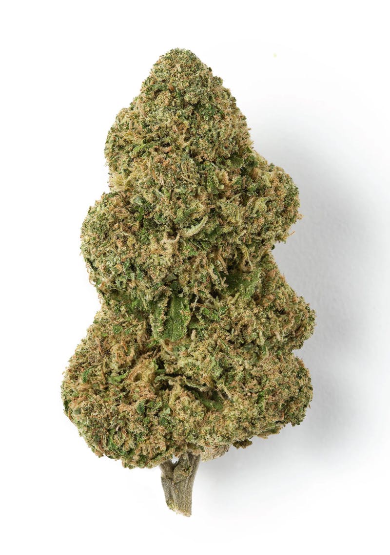 East Fork Cultivars: Candy Blossom