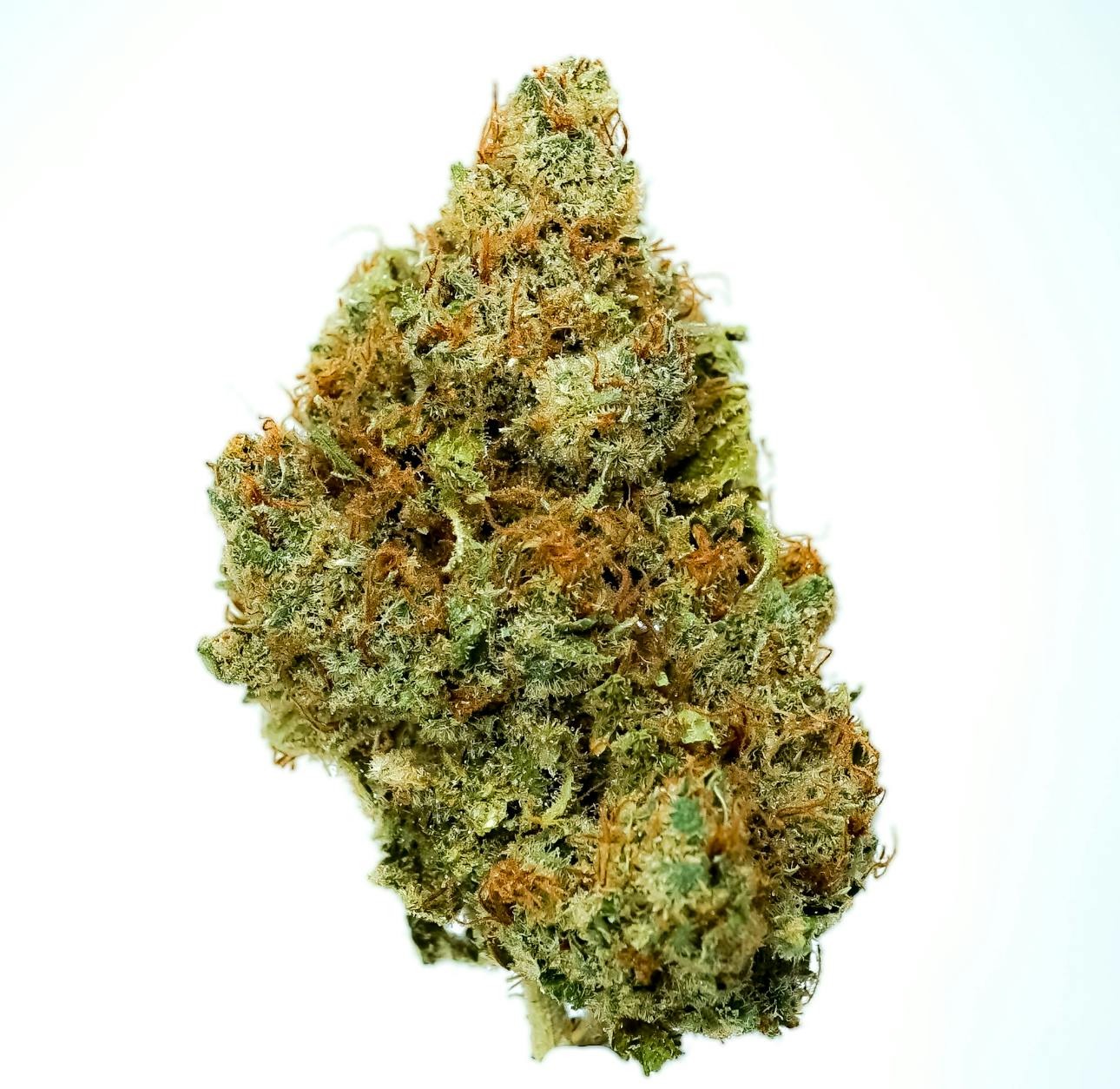 Pruf Cultivar: Banana Fudge Pop