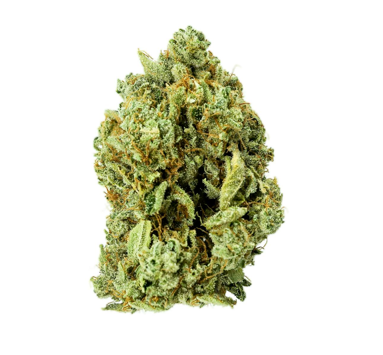Pruf Cultivar Designer: Pruf Cultivar Designer OG