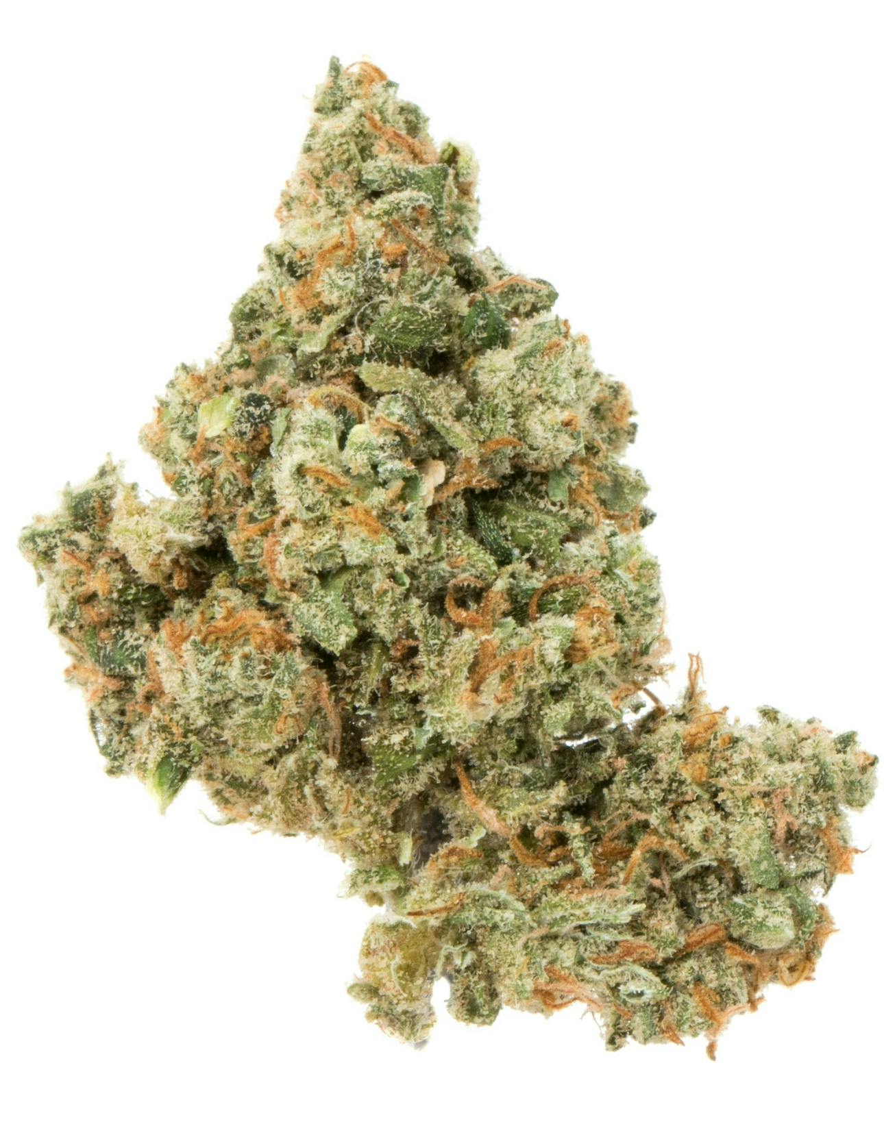 Pruf Cultivar: Jack Herer