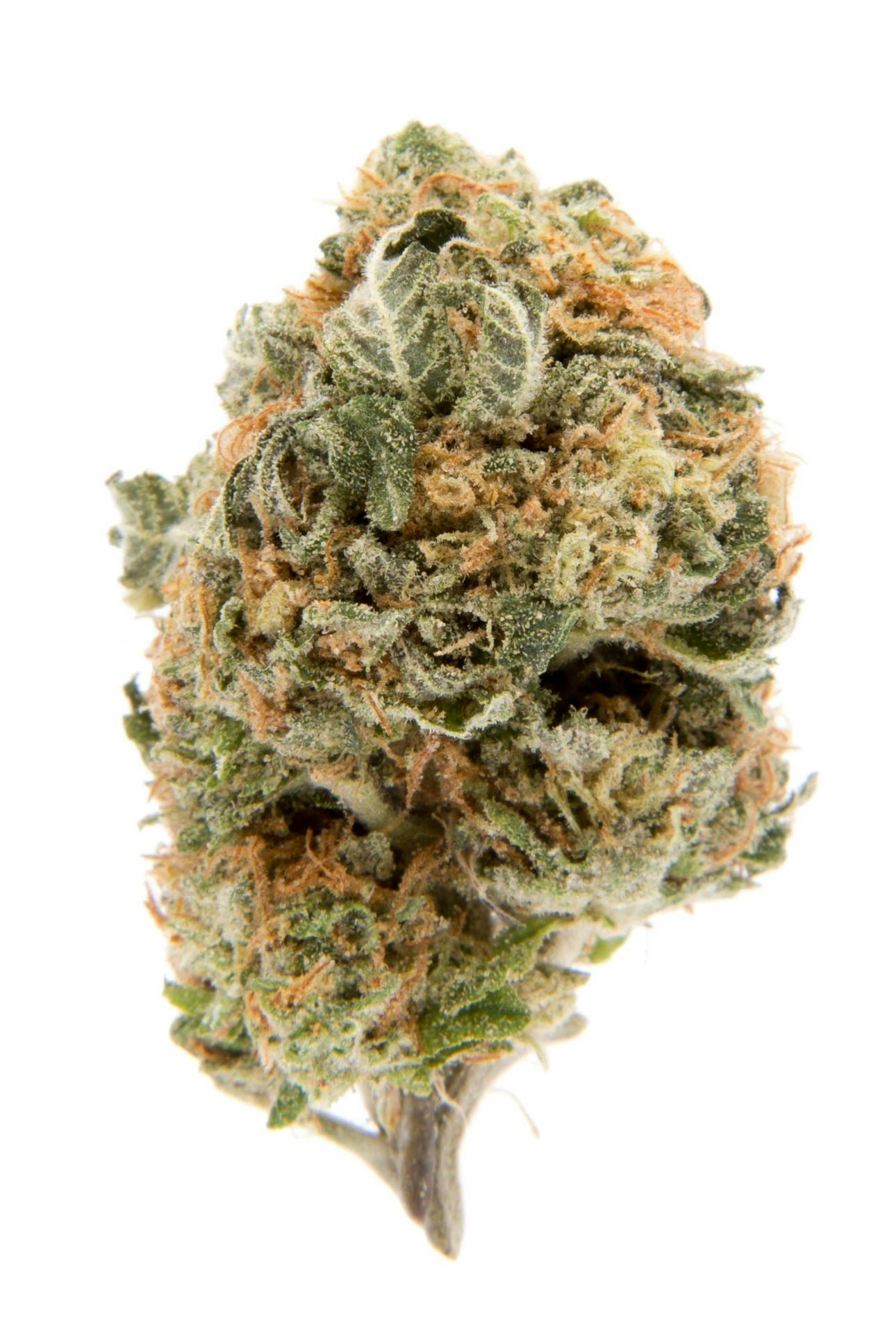 Trichome Farms: Blueberry