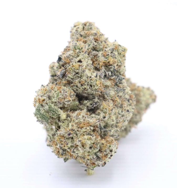Pacific Frost: White Truffle