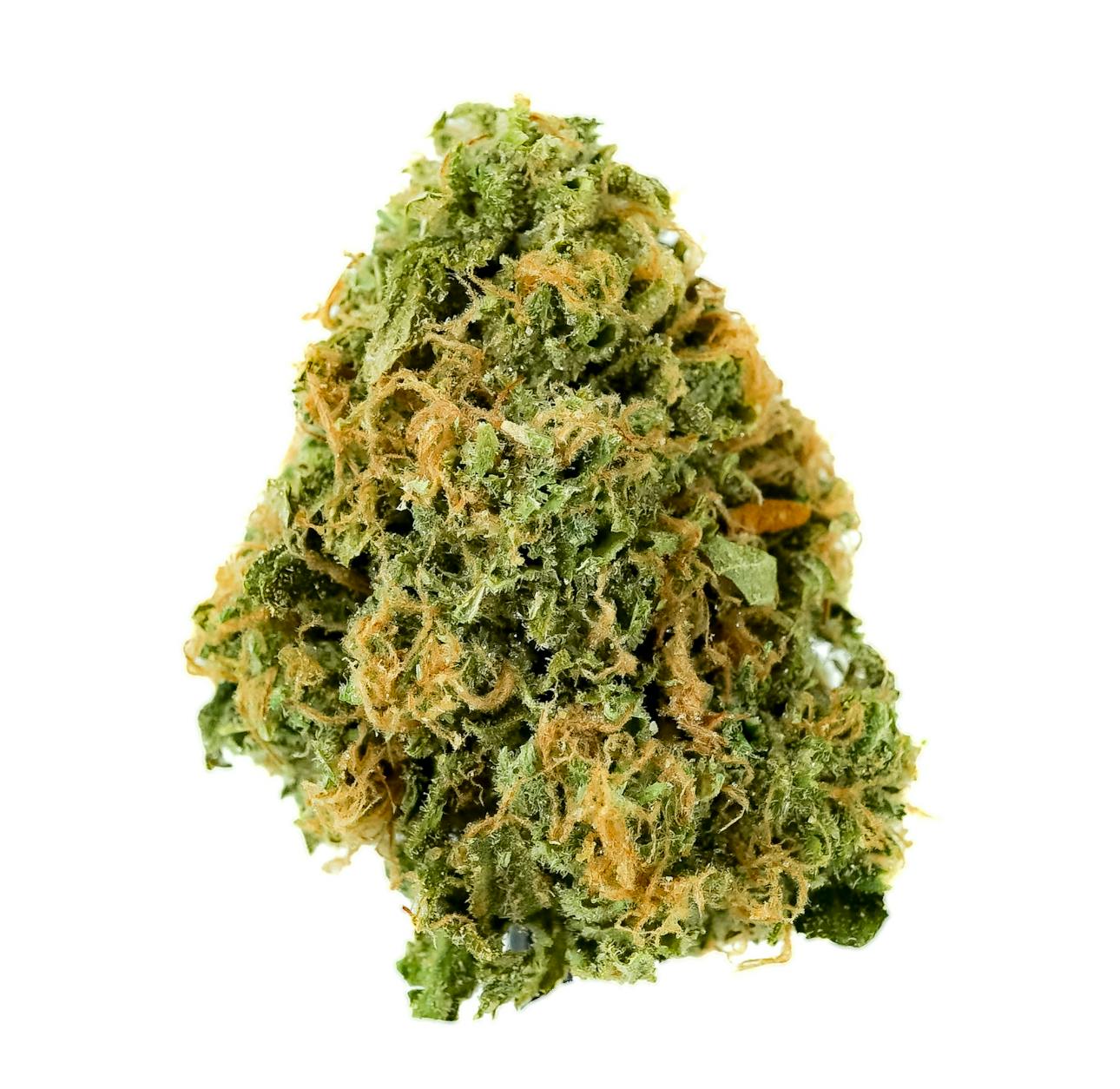 Pruf Cultivar: Key Lime Guava #10