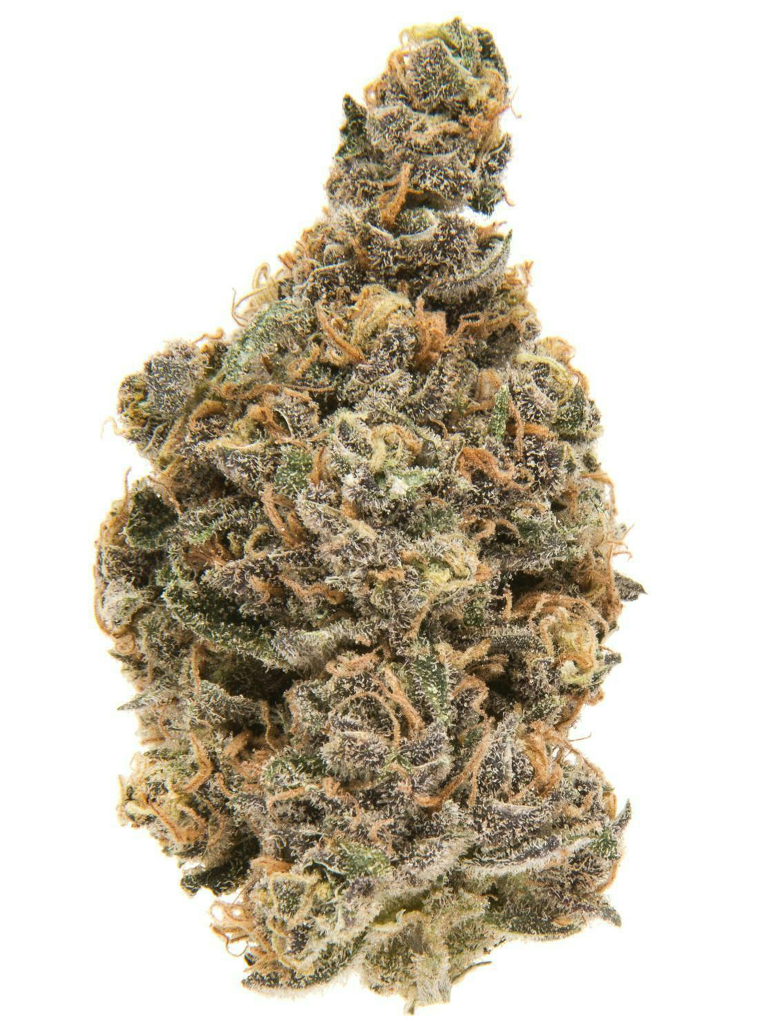 Just J's: Blueberry Muffin