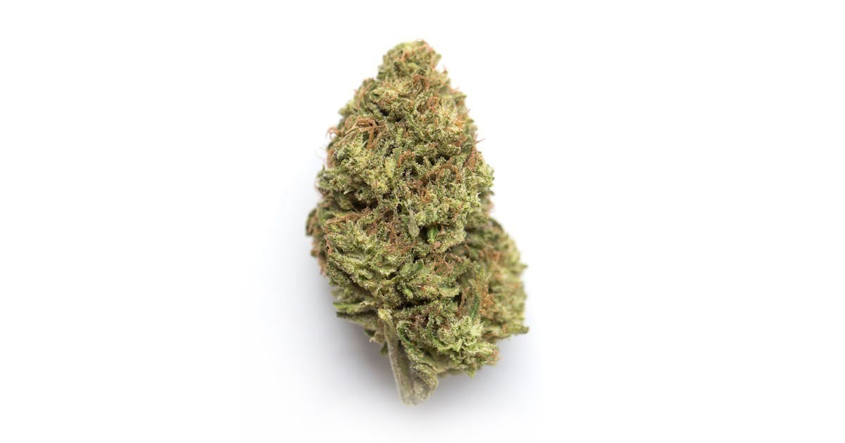Hecate Gardens: Maraschino Puff