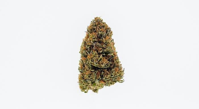 East Fork Cultivars: Kush Petals