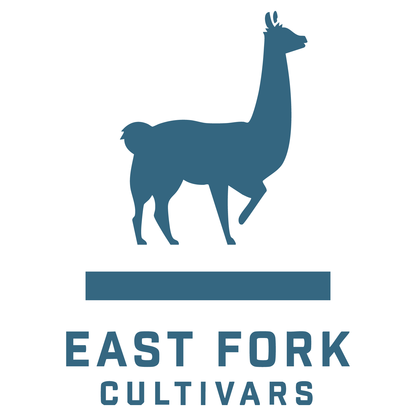 East Fork Cultivars: East Fork Cultivars Tangerang
