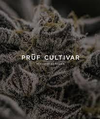 Pruf Cultivar Moon: Drop Grapes B-buds