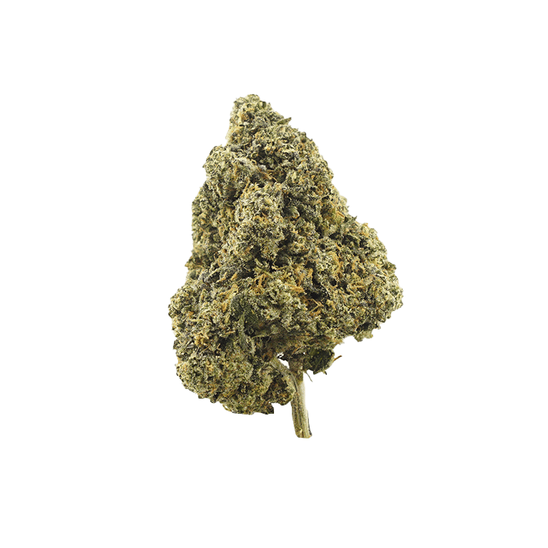 Pruf Cultivar: Gelato 33