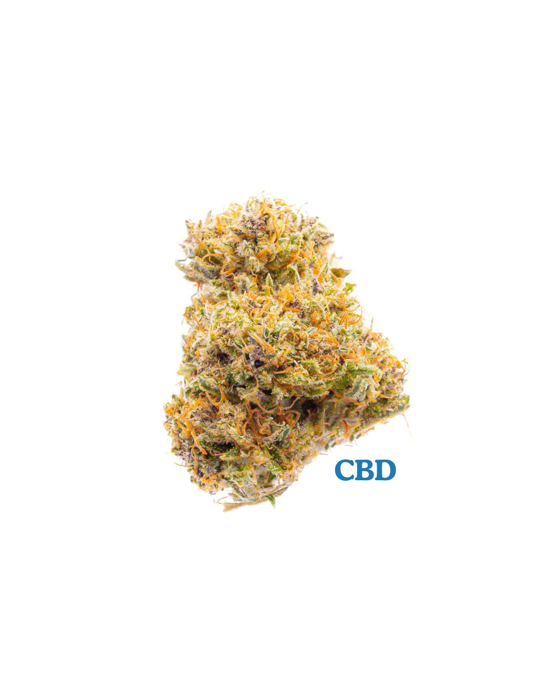 Pruf Cultivar: Astral Works