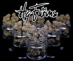 HQ Farms: Gary S Pineapple