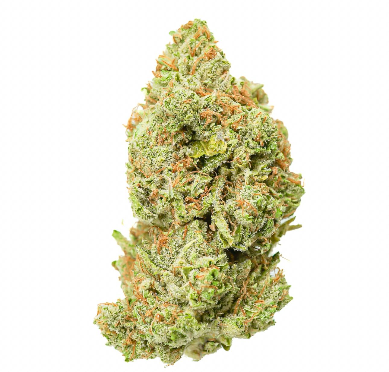 Pruf Cultivar: Blank Check #4