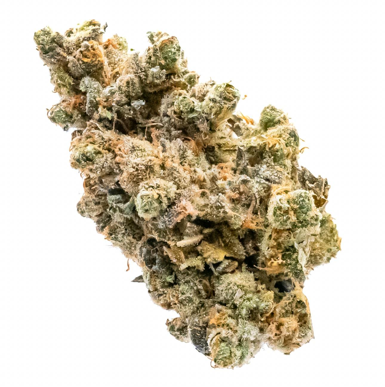 Pruf Cultivar: Papaya Sorbet