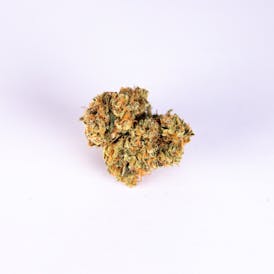 Chem Dawg