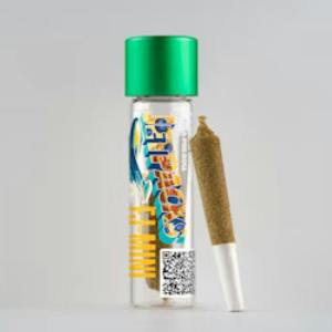 1 - (0.6G) - BLUEBERRY PANCAKES - 'FJ1-MINI' - INFUSED - PR