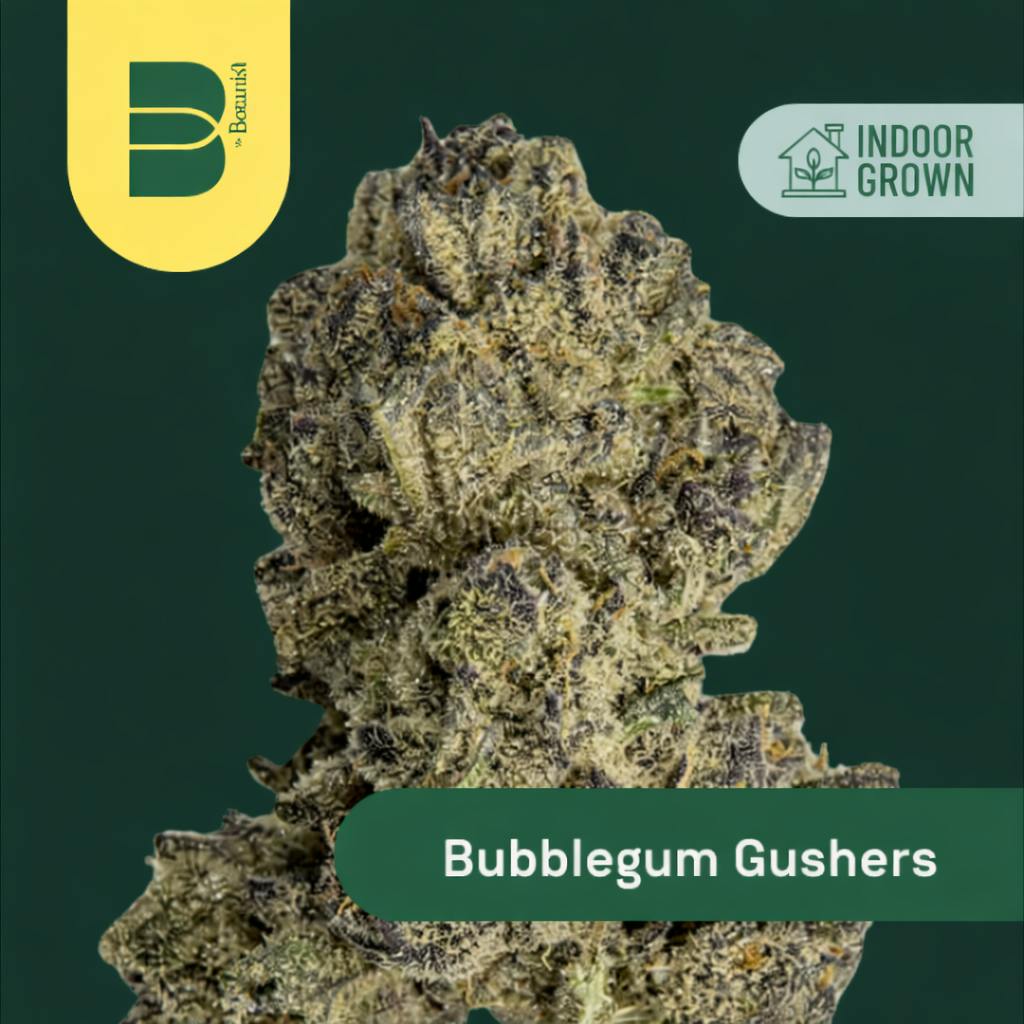 BUBBLEGUM GUSHERS - (14G)