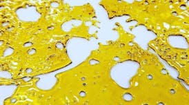 Rosebud | 1g Shatter Einstein Labs