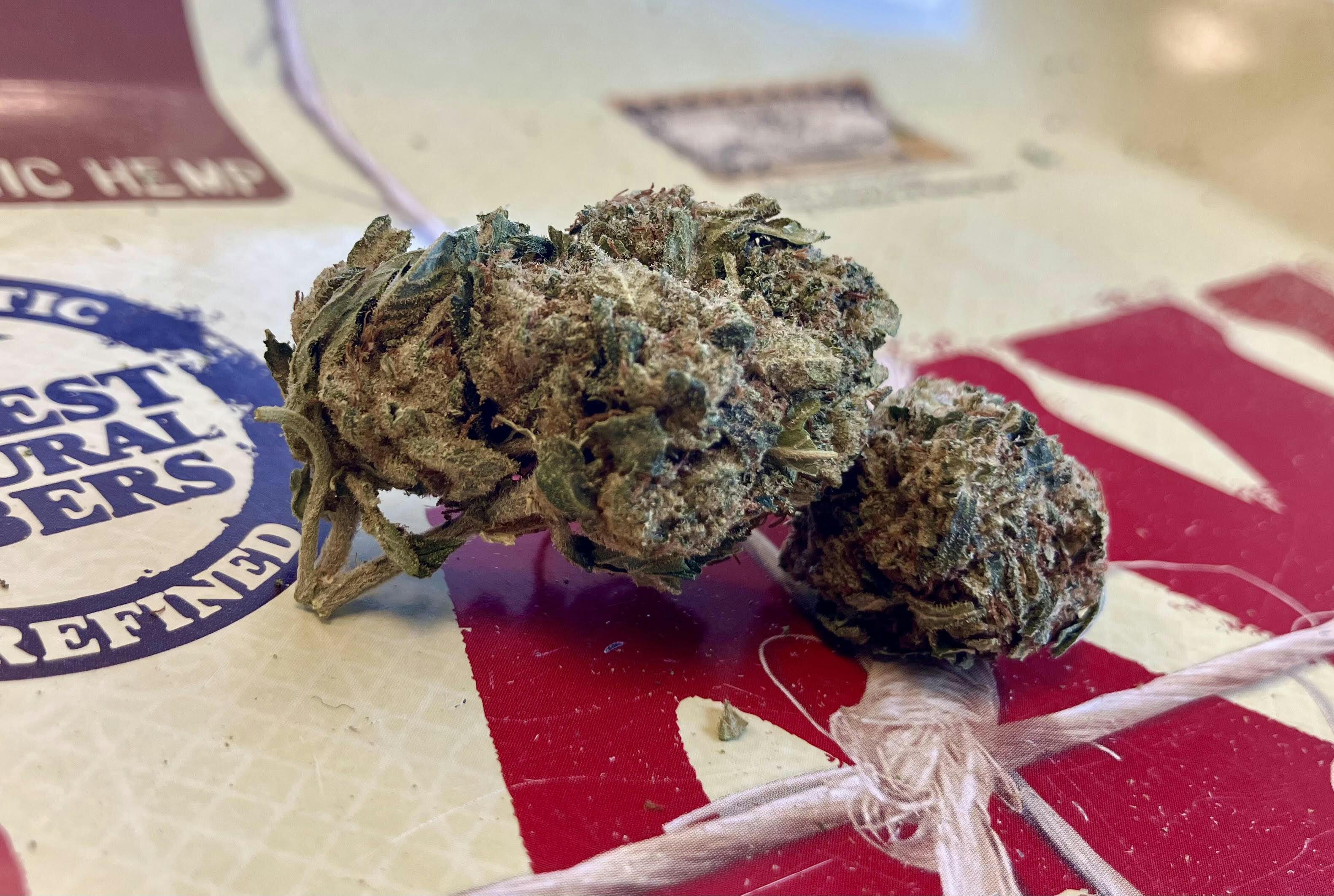 REC - MB - Lambs Breath