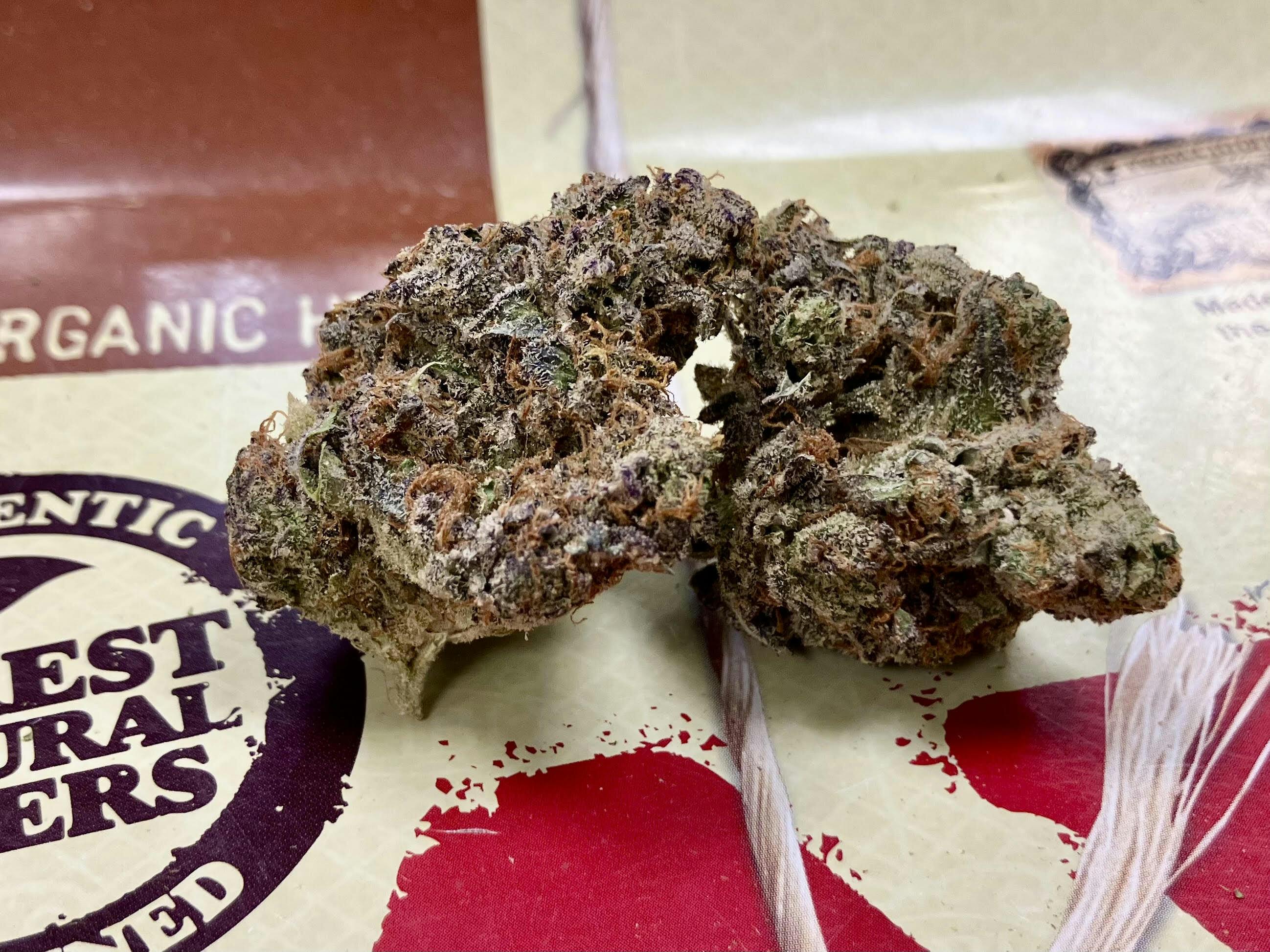 REC - Sour Glue
