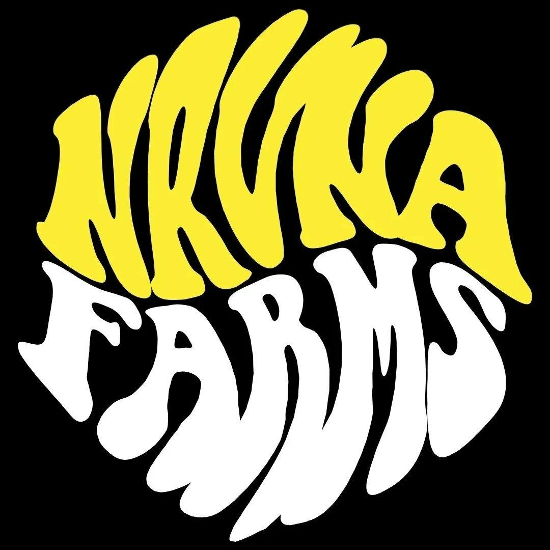 pinyatti: Black Mamba