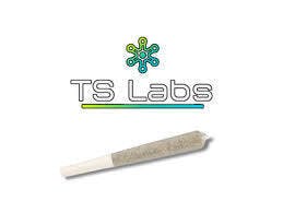 TS Labs | 1g Hash Joint - Grape Summit