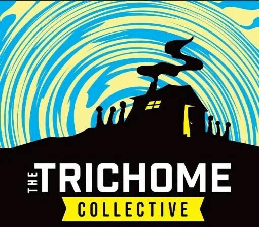 Trichome Collective | 70u Rosin - Mac1